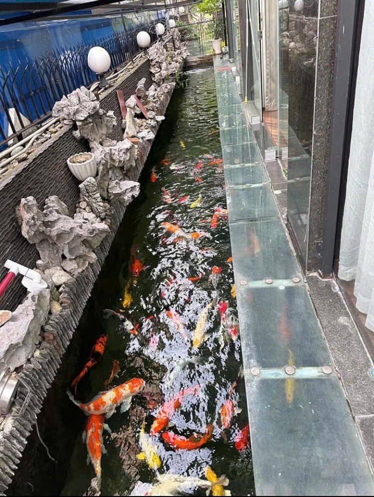 Bán Biệt Thự View Sông Đường Số 1 Khu Trung Sơn, Bình Chánh